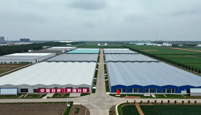 汕头市精乐玩具实业有限公司打造符合现代需求的电商代运营